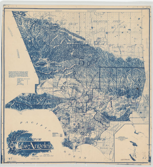 Blue line print.